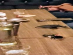Tiga Oknum Kades, Diduga Pesta Miras di Tempat Hiburan MC, Setelah Dana Desa Cair