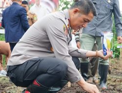 Polresta Bandung Laksanakan Penanaman Jagung Serentak 1 Juta Hektare di Ciparay
