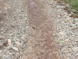 Pengerasan Jalan Dusun 1 Desa Kota Agung Tahun 2024 Diduga Dikerjakan Asal Asalan Syarat Mencari Keuntungan, 