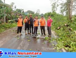 Tim Gabungan Bergerak Cepat Evakuasi Pohon Tumbang di Sekayu, Bupati HM Toha Apresiasi Respons Sigap