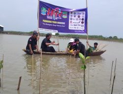 Peringati HPN 2025, Wartawan Bekasi Raya Tanam Ratusan Mangrove di Muaragembong