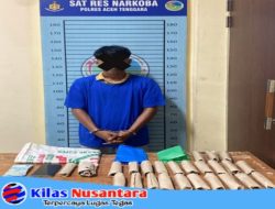 Satresnarkoba Polres Aceh Tenggara Amankan Pria Miliki Puluhan Bungkus Ganja di Desa Lawe Mejile