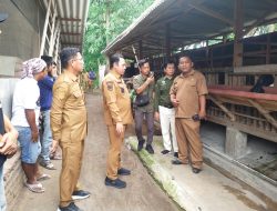 Wabup Fahmi Kunjungi Sentra Peternakan Milik Desa BUMDES Desa Puspan