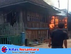 Si Jago Merah Mengamuk di Tanah Abang, 2 Rumah Ludes