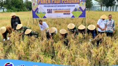 Panen Padi Perdana Dan Bakti Sosial, Lapas Cirebon Teguhkan Kepedulian Dan Ketahanan Pangan