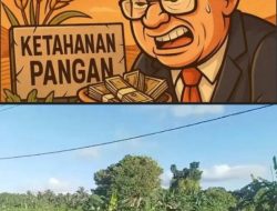 Viral Pemberitaan !! Terkait Ketahanan Pangan Desa Meok Tahun 2024 Salah Satu Warga Angkat Bicara.