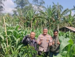 Kapolsek Ibun Laksanakan Survey Ke Lapangan Dan Koordinasi Dengan Ketua PPL Kec. ibun Tentang LBS di Wilayah Ibun