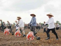 Wabup Ardani Hadiri Penanaman Jagung Serentak Kuartal III di Kecamatan Pemulutan