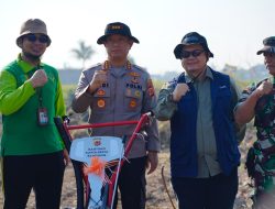 Kapolresta Bandung Mengefektifkan Lahan Baku Sawah Tidur Menjadi Lahan Jagung
