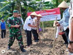 Polsek Pedes Dalam Rangka Ketahanan Pangan Tanam Jagung