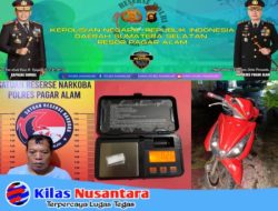 Pengedar Shabu Di Tumbak Ulas Berhasil Di Amankan Satres Narkoba Pagaralam