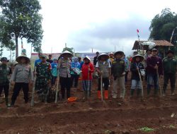 Kapolsek Cikancung Pimpinan Langsung Penanaman Jagung Kuartal IV Tahun 2025 Yang Bertempat di Kp. Gorowek