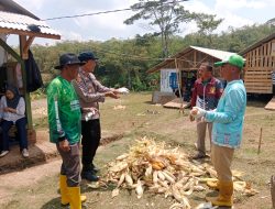 Kapolsek Cikancung Sambangi Petani Jagung di Desa Cikancung Pinta Jaga Kamtibmas dan Dorong Penjualan ke Bulog