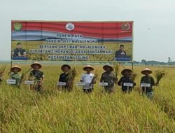 Turunya Harga Pupuk Subsidi sebesar 20 Persen Disambut Masyarakat