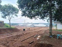 LP NASDEM Soroti Rencana Ekspansi Industri ke Hulu Way Kunang, Nilai Berpotensi Langgar Tata Ruang
