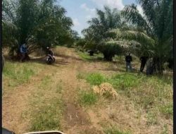 Kuasa Hukum Bantah Keras Tuduhan Penyerobotan Lahan terhadap Hendra Setiadi