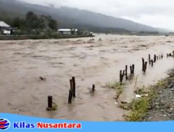 Batang Merao Mengganas, Warga Desak Pemkab Kerinci Bertindak Tegas Tahun Depan