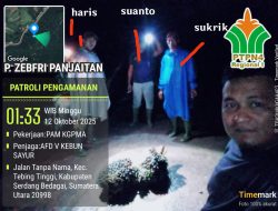 Dirut PTPN 4 (Palmco) Diminta Evaluasi Kinerja Manajer dan APK Kebun Gunung Pamela. Zebfri Sang Pelapor Pencurian 7 Tros TBS di PHK Tapi Malingnya Dibiarkan