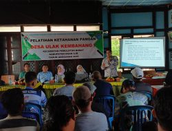 Desa Ulak Kembahang I Gelar Pelatihan Ketahanan Pangan TA 2025