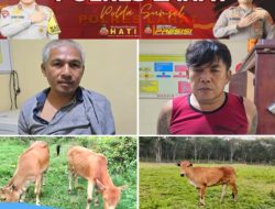 Polsek Kota Agung Berhasil Ungkap Kasus Pencurian Hewan Ternak