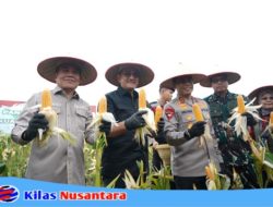 Panen Raya Jagung Serentak, Sinergi Pemprov dan Polda Sumsel Perkuat Program Swasembada Pangan
