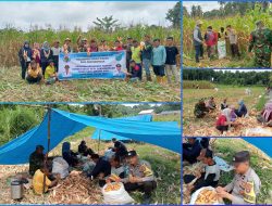 Dukung Swasembada Pangan yang Dicanangkan Presiden Republik Indonesia, Polsek Tanjung Raja Gelar Panen Jagung Ketahanan di Desa Penyandingan