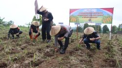 Polres Kuningan Tanam Jagung Serentak di 27 Lokasi Capai 22 Ha