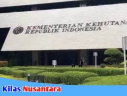 Satgas PKH Jangan Mandul, PDTT BPK Sebutkan Ada Indikasi Kerugian Negara Triliunan Rupiah Atas Penggunaan Kawasan Hutan Tanpa Izin