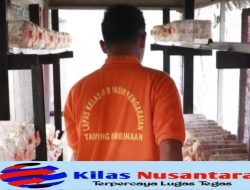 Budidaya Jamur Tiram Jadi Andalan Pembinaan Kemandirian di Lapas Pasir Pengaraian