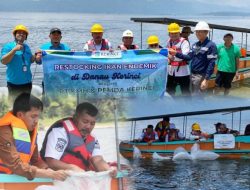Dorong Kesejahteraan Nelayan, Bupati Monadi Bersama PT KMH Tebar Ikan Endemik di Danau Kerinci