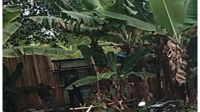 Terkesan Kebal Hukum, Penjual Obat Obatan Tramadol di kab bandung barat Makin Meningkat, Diduga APH Tutup Mata dan telinga