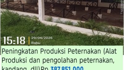 Program Ketahanan Pangan Desa Pasir Angin Dipertanyakan, Kandang Sapi Hibah Dana Desa Kosong Melompong