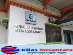 Dugaan Penyerobotan Lahan Perhutani di Cikawung: Oknum Anak Pejabat Daerah Jadi Sorotan