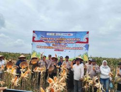 Wakapolres Ogan Ilir Pimpin Panen Raya Jagung Serentak Kuartal II 2026 Bersama Presiden Prabowo Melalui Video Conference