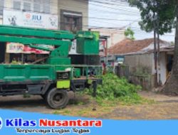 DLH Kota Cimahi Lakukan Pemangkasan Dahan Untuk Sterilisasi Kawasan Cibabat Demi Keselamatan Masyarakat
