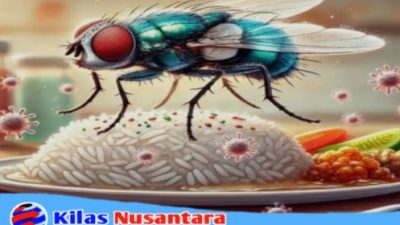 Diduga Temuan Telur Lalat pada Menu MBG, SPPG Karangpawitan dan Vendor Menjadi Sorotan