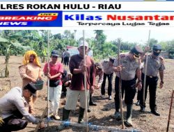 Polsek Ujung Batu Tanam Jagung, Dukung Ketahanan Pangan