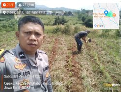 Bhabinkamtibmas Desa Loa Monitoring Ketahanan Pangan Jagung Pipil di Wilayah Paseh