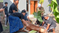 Anggota Komisi X DPR RI H. Muhamad Nur Purnamasidi Bagikan 9 Ekor Sapi Untuk Wilayah Jember dan Lumajang