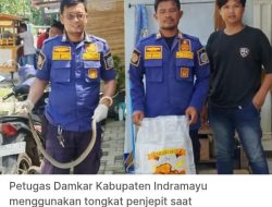 Berkat Lsporan Warga Petugas DAMKAR Gercep Tangkap Ular Coros di Warung Juntinyuat