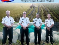 PANEN LAGI NIH! Lapas Cirebon Sukses Panen Padi, Bukti Produktivitas dan Kemandirian WARGA BINAAN dalam PROGRAM Ketahanan Pangan