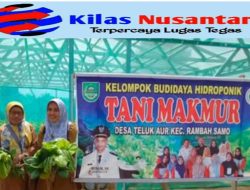 Dorong Ketahanan Pangan, Kades Teluk Aur Muslim, S.H. Kembangkan Hidroponik dan Dampingi Posyandu