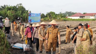 Tekan Inflasi, Wali Kota Tebing Tinggi Pimpin Gerakan Tanam Bawang Merah 2 Hektare