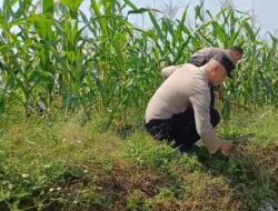Anggota Bhabinkamtibmas Dukung Program Ketahanan Pangan di Kampung Cikopo RW 06 Desa Ciluluk