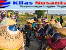 Lestarikan Adat Budaya Serta Rasa Syukur Pada Maha Kuasa Pemdes Serta Masyarakat Desa Benda Indramayu Gelar Mapag Sri