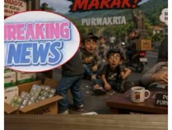 Terkesan Kebal Hukum, Penjual Obat Obatan Tramadol kabupaten Subang Makin Meningkat, Diduga APH Tutup Mata dan telinga