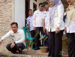 Bupati Egi Dorong Ketahanan Pangan dan Ekonomi Sirkular dari Pekarangan Warga