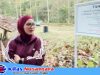 Bupati Pangandaran Diminta Turun Tangan, Polemik Plang “Tanah Milik” di Pantai Madasari Picu Desakan Audit Sertifikat