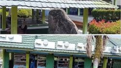 Ketua DPD LSM DPPNI Provinsi Bengkulu Tuding Pengelolaan Kantin SMAN 4 Diduga Langgar Aturan & Jadikan Fasilitas Pendidikan Lahan Cari Untung,