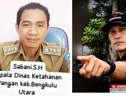 Dugaan Pungutan 10-15% di Dinas Ketahanan Pangan Bengkulu Utara,Ketum MPN OMBB M.Diamin Desak APH Turun Tangan,